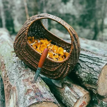 Swiety Spokoj Laka I Woda Pozezdrze Exteriér fotografie