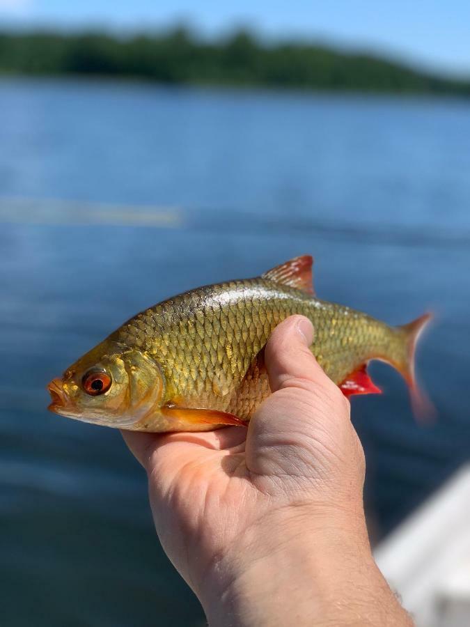 Swiety Spokoj Laka I Woda Prázdninový dům